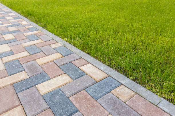 Best Local Driveway Pavers  in Bosque Farms, NM